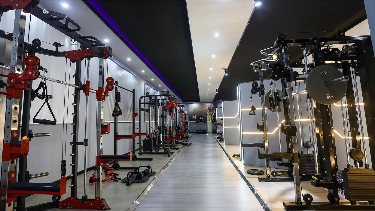 China Shandong Freeman Fitness Equipment Co., Ltd. Bedrijfsprofiel