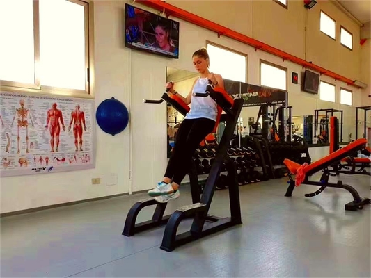 Verticale knie-op/diep-staal materiaal gymtrainer apparatuur voor ultieme bodybuilding