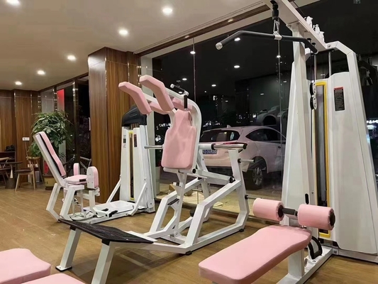 Instant Weight Adjustable Steel Hack Squat Machine voor beenbeweging in commerciële sportschool