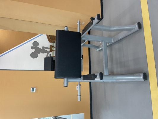1170*800*1080 mm Arm Curl Bench voor Biceps Curl Pin Load Selection Machines in de sportschool