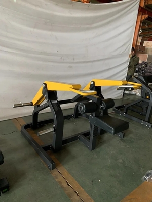 Met staalplaat geladen biceps Fitnessapparatuur voor krachttraining en bodybuilding