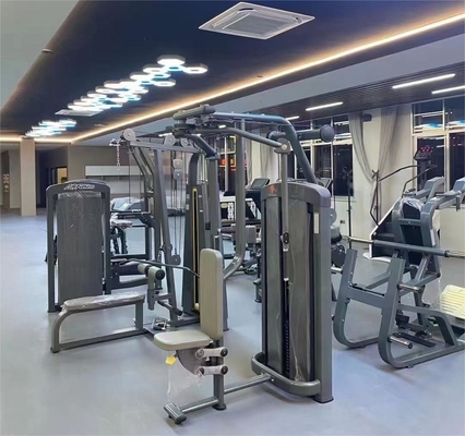 Commerciële Fitness Gym Pin geladen Pectoral Fly Machine voor Achter Delt en Chest Fly
