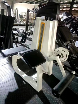 Universele staal zittende voorgevoelige been krul gym trainingsapparatuur voor bodybuilding fitness