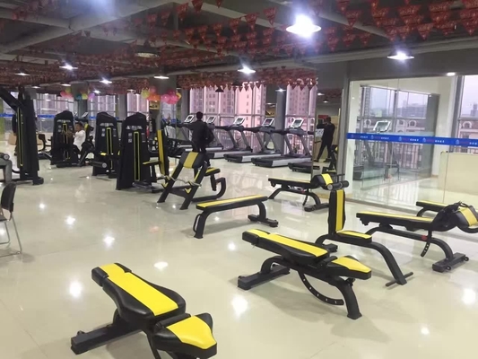 Fitness Oefening Lichaam Verstelbare rugverlengingsmachine Pinneloaded Abdominal Trainer