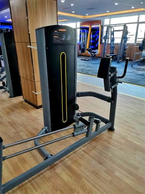 Logo aangepast logo beschikbaar kickback glute machine voor commerciële fitnesscentra