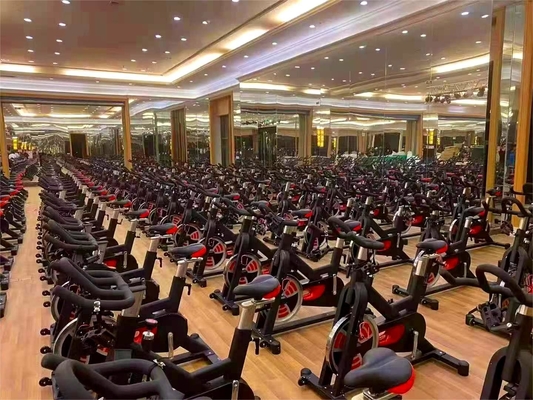18 kg Flywheel Gym apparatuur voor commerciële cardio training en lichaamsversterking