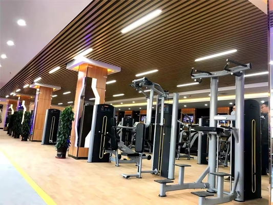 Gepersonaliseerd logo beschikbaard Steel Tricep Pushdown Machine voor commerciële gymapparatuur
