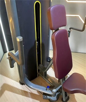 End Pin Load Selection Pectoral Fly Machine voor commerciële gym borst en Pec Workouts