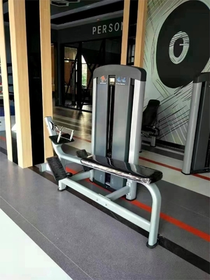 Universal Gym Fitness Machine voor Borst Achter schouder Arms Pectoral Fly Pin Load Selectie