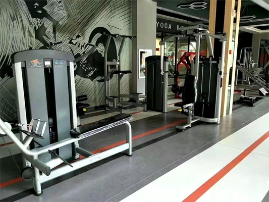 Universal Gym Fitness Machine voor Borst Achter schouder Arms Pectoral Fly Pin Load Selectie