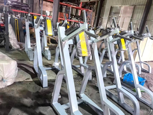 Verticale knieën omhoog/Dip gymapparatuur met aangepast ontwerp en stalen materiaal