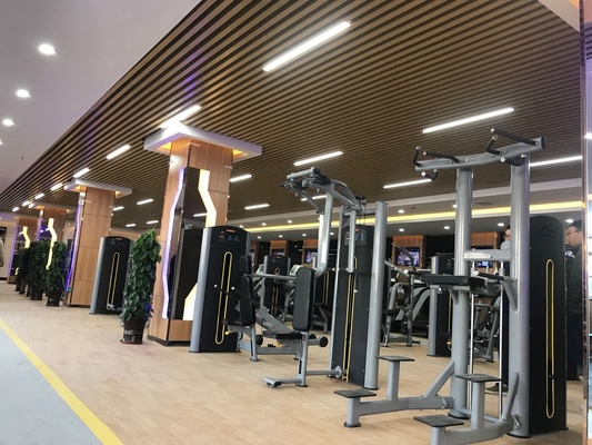 Multifunctioneel Smith en Squat Rack voor gymtraining met verstelbare gewichtskeuze