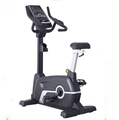 Aanpasbare frame kleur Befreeman Magnetische rechtopbeweging fiets voor cardio training