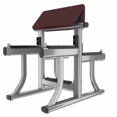 Stalen arm curlbank voor biceps curl gymapparatuur 1170*800*1080 mm
