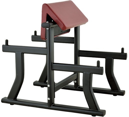 Stalen arm curlbank voor biceps curl gymapparatuur 1170*800*1080 mm