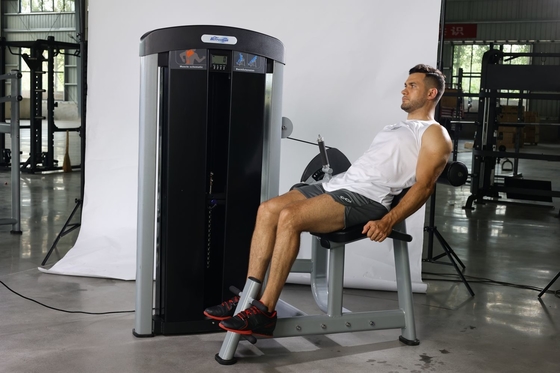 Direct zittende rugverlengtrainer voor spierkrachttraining Pin Load Selectie