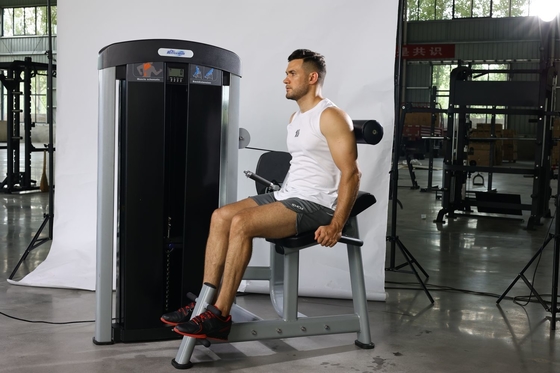 Direct zittende rugverlengtrainer voor spierkrachttraining Pin Load Selectie