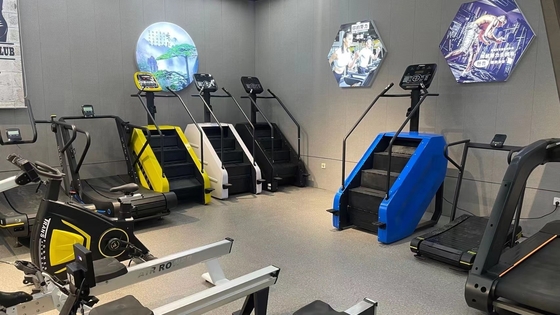 Gepersonaliseerd logo beschikbaard stapper machine voor krachttraining in commerciële faciliteiten