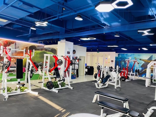 Plaatbeladen fitnessapparatuur ISO-LATERALE schouderdruk voor maximale spieractiviteit