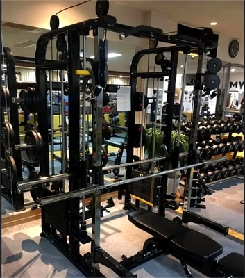 De multifunctionele Smith-machine voor uitgebreide training