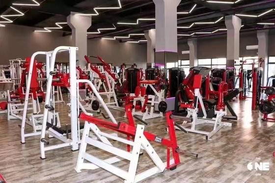 Machines voor de borstpers en de isolatie-laterale bankpers met krachttrainingsplaat