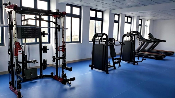 1730*2010*2230mm Fitnessruimte Commerciële Multi Trainer Squatting Rack Smith Machine Power Rack