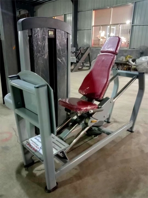 Vervaardiging van een machine voor het drukken van de benen met gewichten voor het selecteren van de speldbelasting