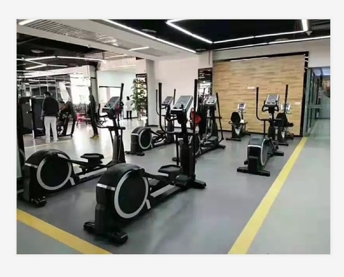Optioneel Selecteerbaar Frame Kleur Handleiding Cross Trainer Elliptiese fiets voor Indoor Fitness
