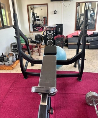 Befreeman Gym Center Incline Bench Pin Load Selection Machines met 1450*1260*1420 mm