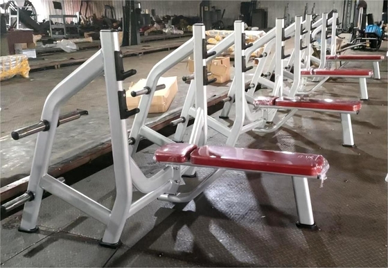 Befreeman Gym Center Incline Bench Pin Load Selection Machines met 1450*1260*1420 mm