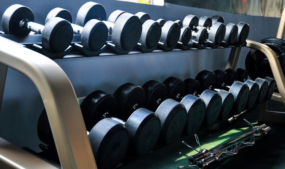 19.5 kg Laadcapaciteit Fitnessapparatuur voor fitnessruimtes Dumbbell opslagrek Opvouwbaar ontwerp