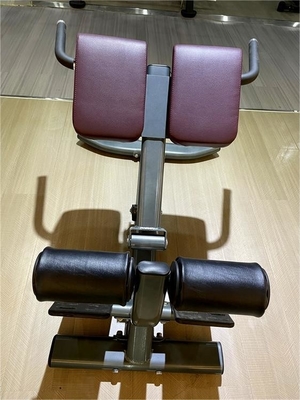 Stijl Luxe Fitnessapparatuur voor rugbewegingen Verstelbare rugverlenging Romeinse stoel