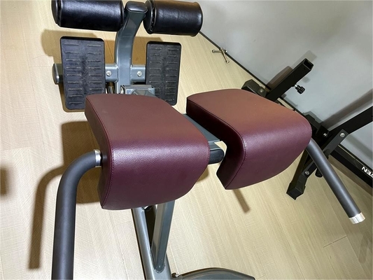 Stijl Luxe Fitnessapparatuur voor rugbewegingen Verstelbare rugverlenging Romeinse stoel