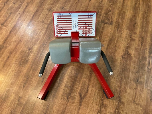 Gym Fitness 45 graden rugverlengingsmachine Romeinse stoel gymbank Unisex Geslacht Unisex