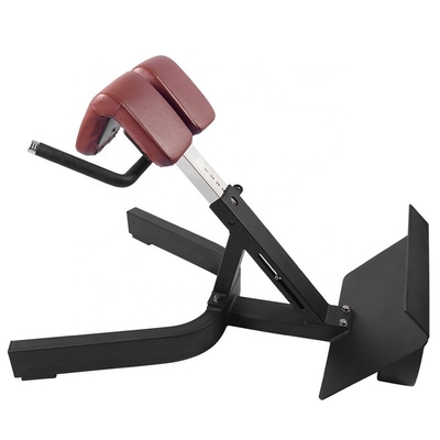 Krachttraining Multifunctioneel Arm Curl Back Extension Bench Romeinse stoel voor Unisex