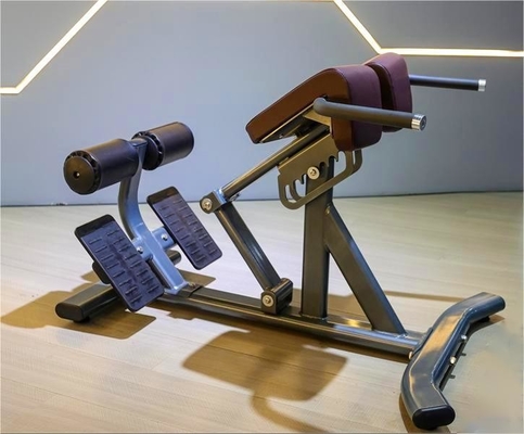Gym Fitness 45 graden rugverlenging machine met optionele selecteerbare frame kleur
