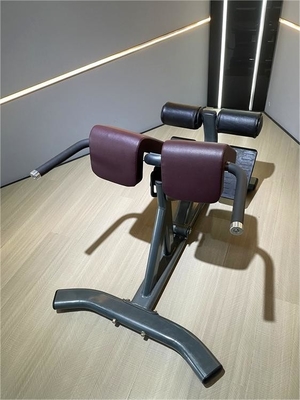 Gym Fitness 45 graden rugverlenging machine met optionele selecteerbare frame kleur