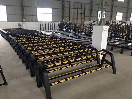 Gewichtsstapel 20,6 kg haltersets rek voor fitnesscentrum Gratis 2 lagen haltersets