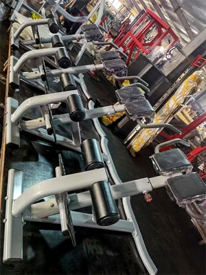 Gym Fitness 45 graden rugverlenging machine met optionele selecteerbare frame kleur