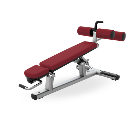 Verstelbare zitplaats thuis gymmachine voor commerciële rugverlenging en buikcrunch