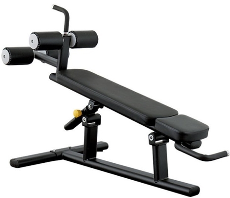 Verstelbare zitplaats thuis gymmachine voor commerciële rugverlenging en buikcrunch