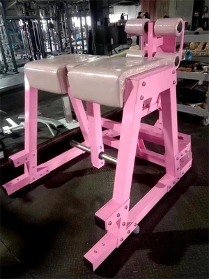 Q235 Plate-loaded Glute Training Reverse Hyper voor spiertraining in commerciële sportschool