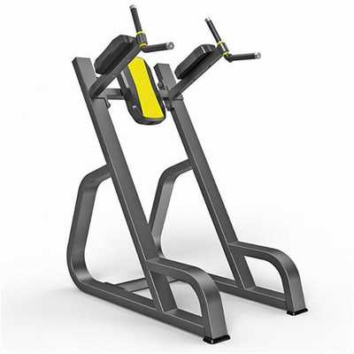 Indoor Bodybuilding Verticale Knieën Up/Dip Kracht Trainer voor ruimtebesparende oplossing