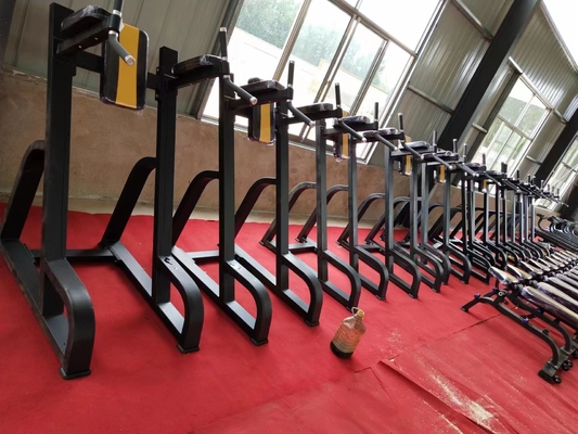 Indoor Bodybuilding Verticale Knieën Up/Dip Kracht Trainer voor ruimtebesparende oplossing