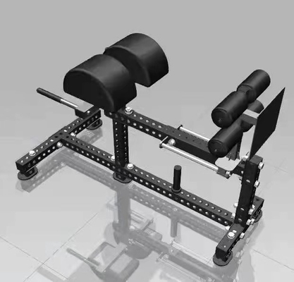 3.0 mm buisdikte Multifunctionele Glute Ham Ontwikkelaar voor professionele sport gym