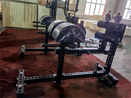 3.0 mm buisdikte Multifunctionele Glute Ham Ontwikkelaar voor professionele sport gym