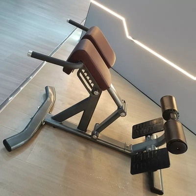Gym Center 45 graden rugverlenging machine Romeinse stoel voor het bouwen van een sterkere rug