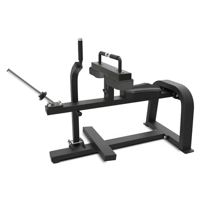 Gezeten kalf opheffen plaat laden MARCH EXPO Gym apparatuur met aangepast logo beschikbaard