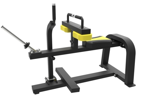 Gezeten kalf opheffen plaat laden MARCH EXPO Gym apparatuur met aangepast logo beschikbaard