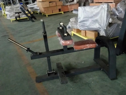 Gezeten kalf opheffen plaat laden MARCH EXPO Gym apparatuur met aangepast logo beschikbaard